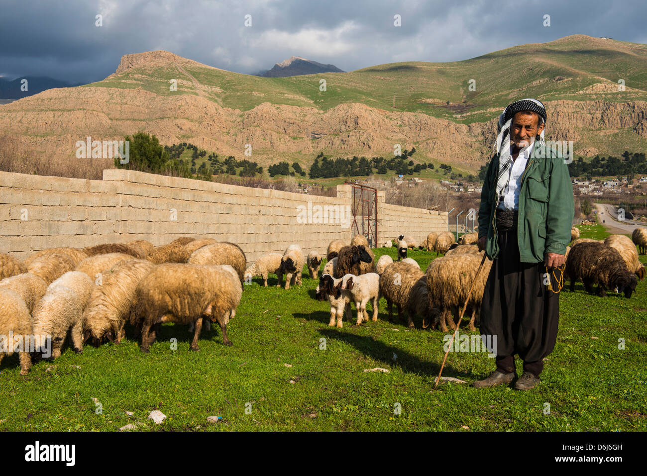 Schäfer mit seiner Herde von Schafen in Ahmedawa an der Grenze zwischen Iran, Kurdistan-Irak, Irak, Nahost Stockfoto