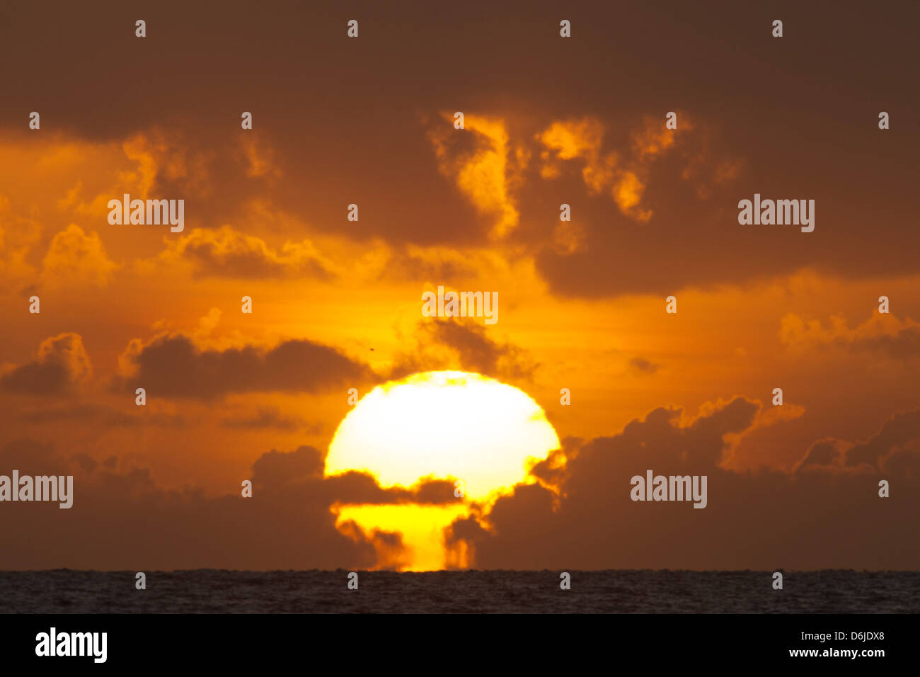 Sonne aus dem Meer, Palm Cove, Cairns, North Queensland, Australien, Pazifik Stockfoto