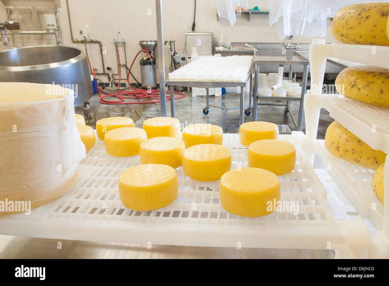 Käse am Bauernhof Haus natürliche Käse Fabrik, Agassiz, Britisch-Kolumbien, Kanada, Nordamerika Stockfoto