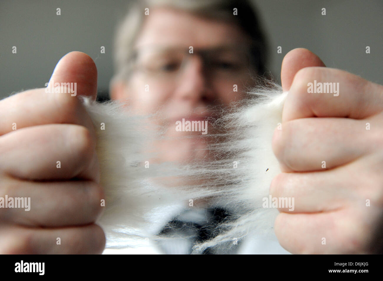 Baumwolle-Spezialist Karsten Froese führt eine visuelle Prüfung der Baumwollfasern in der Baumwollbörse in Bremen, Deutschland, 21. März 2012. Die 31. internationalen Baumwoll-Konferenz eröffnet früh am Rathaus in Bremen. 500 Experten aus 40 Ländern nehmen an dem Treffen teil. Foto: Ingo Wagner Stockfoto