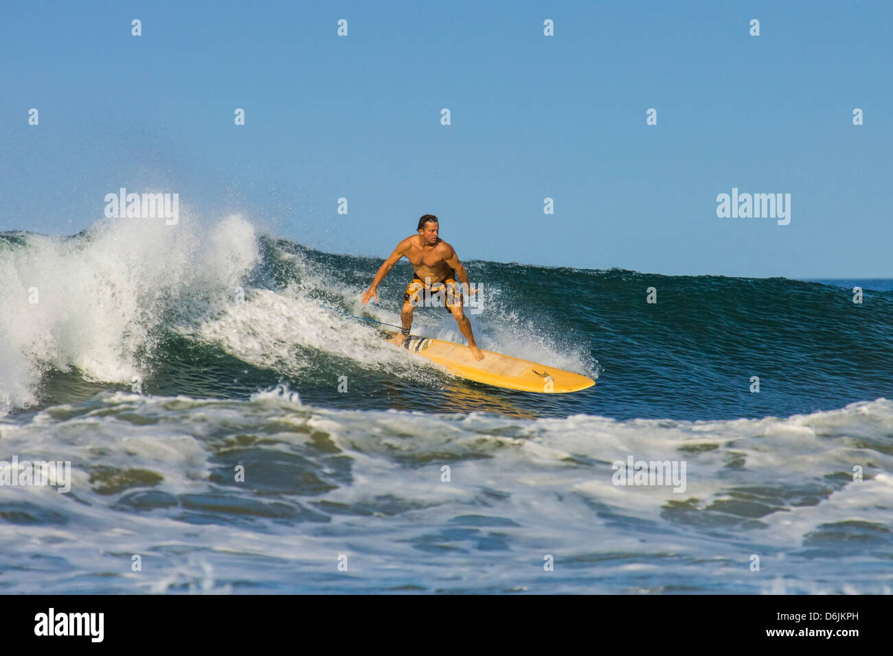 Surfer am Longboard auf Welle am beliebten Playa Guiones Surf Beach, Nosara, Nicoya Halbinsel, Provinz Guanacaste, Costa Rica Stockfoto