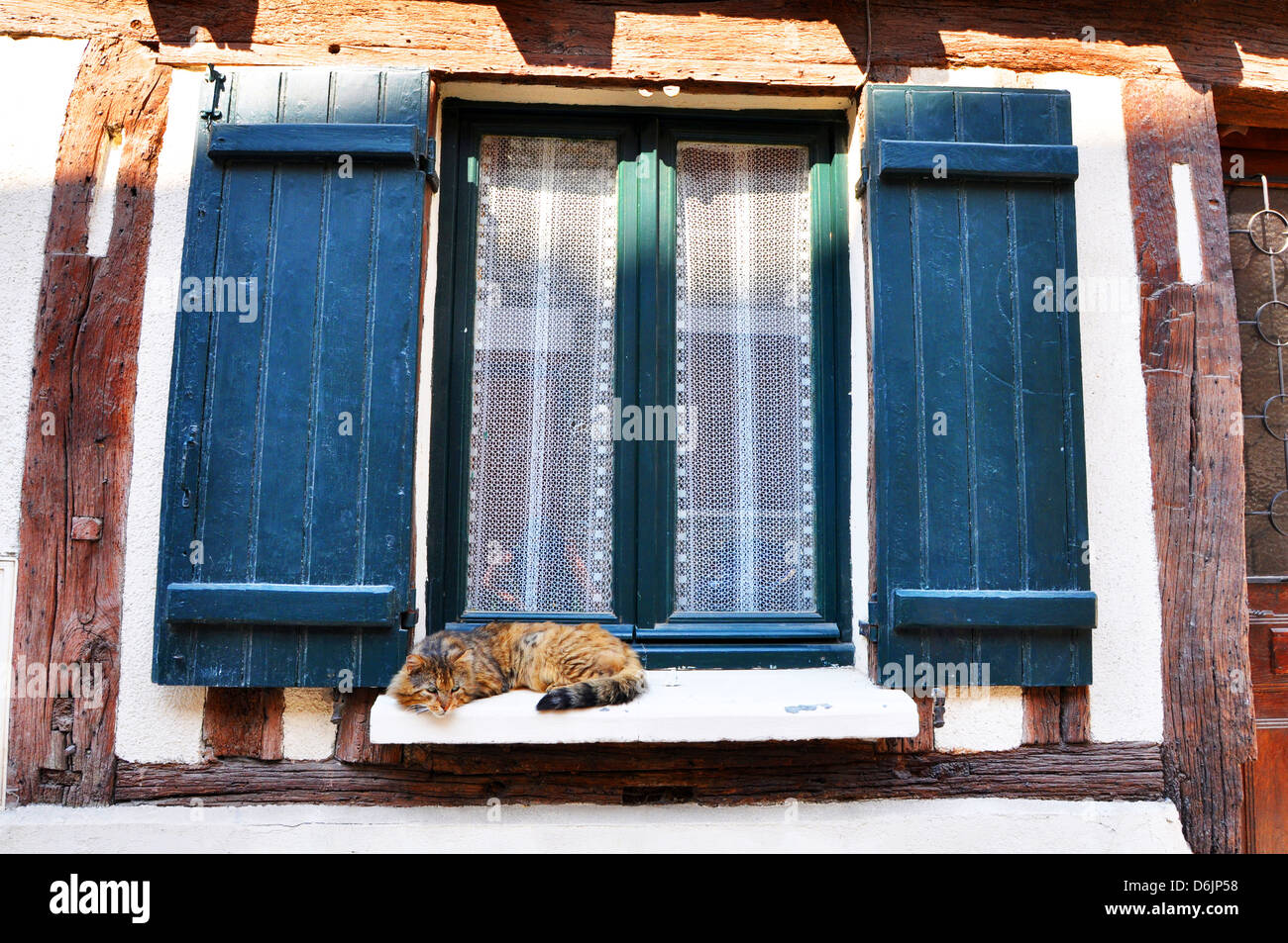 Eine Katze schläft auf einem französischen Fensterbrett, Provins, Frankreich. Stockfoto