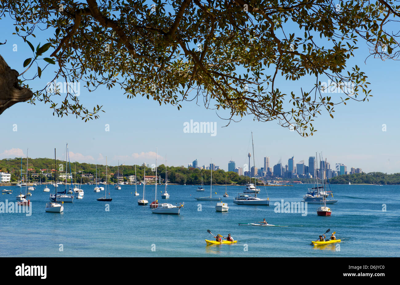 Watsons Bay mit Blick auf die Stadt Sydney Harbour, Australien Stockfoto