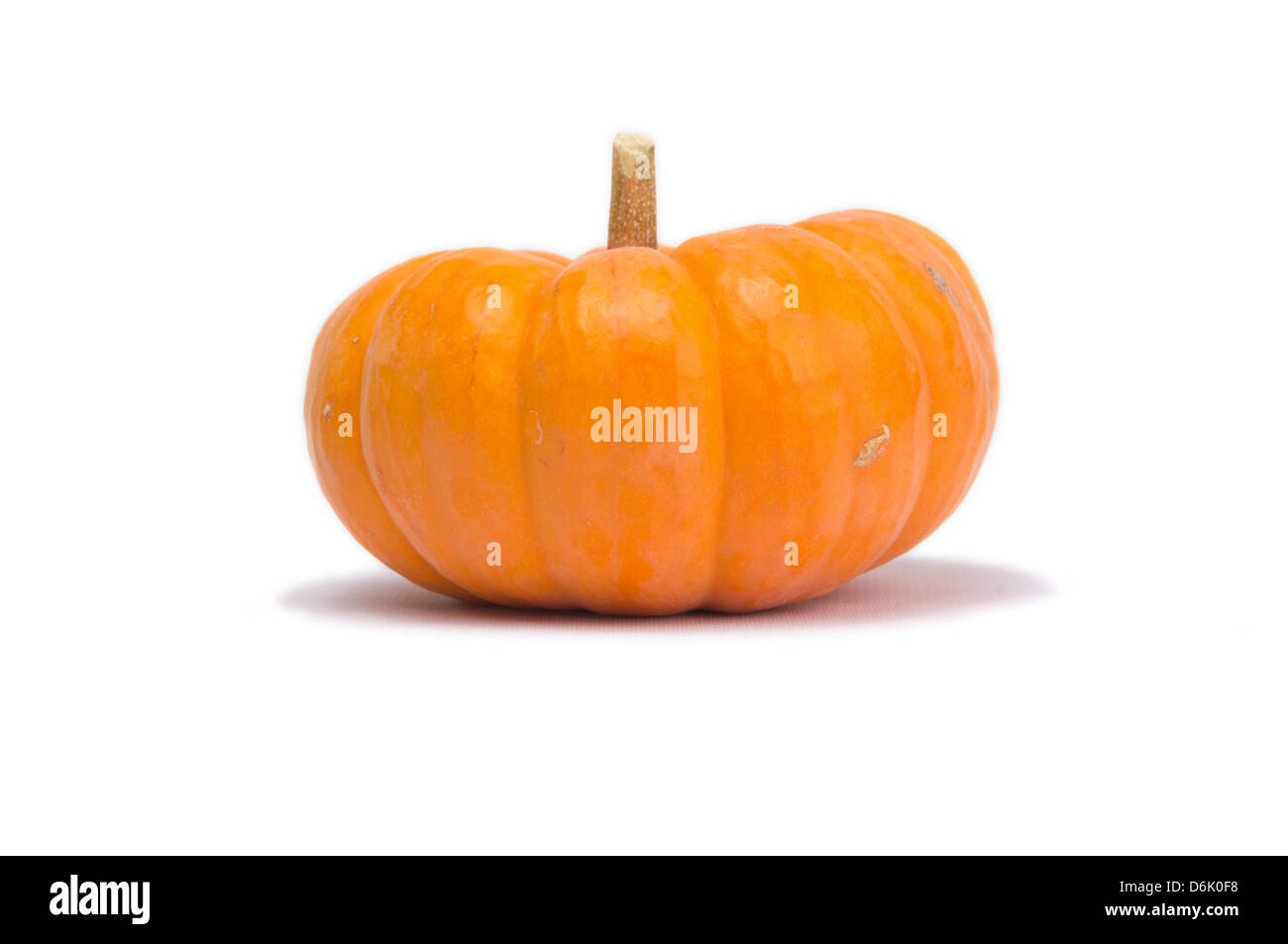 Halloween-Kürbis isoliert auf weißem Hintergrund mit Licht Schatten Stockfoto