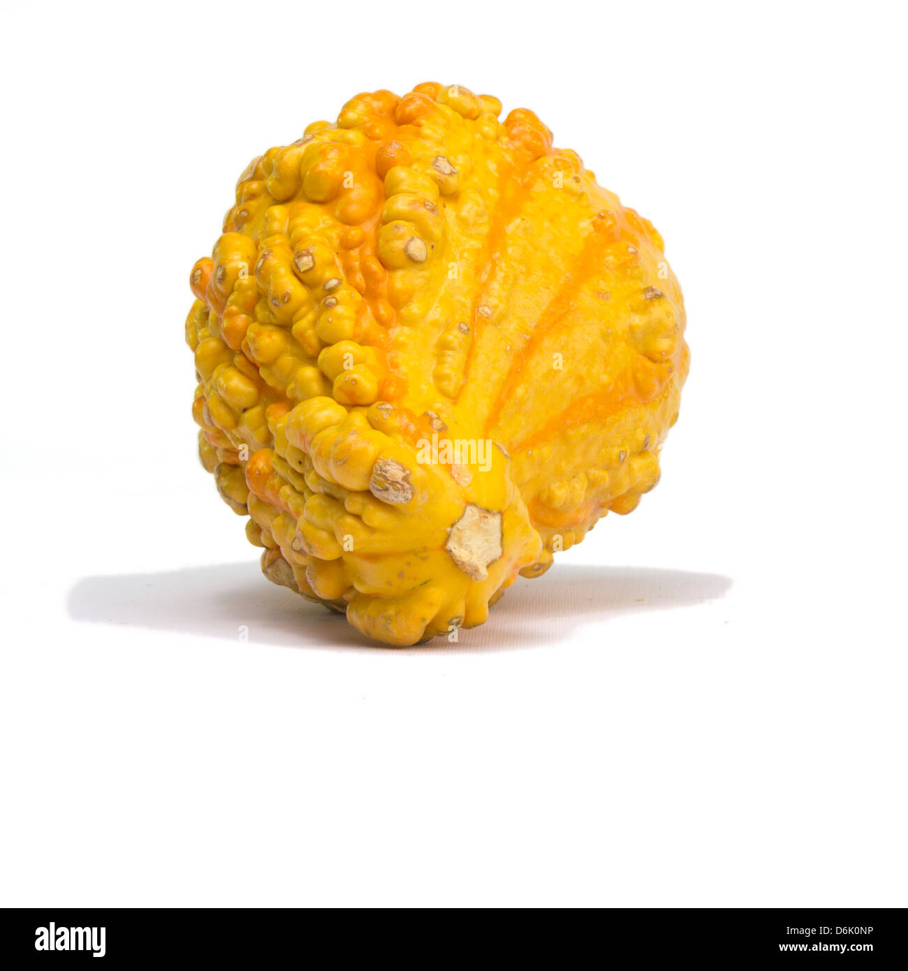 Orange Kürbis isoliert auf weißem Hintergrund mit Licht Schatten Stockfoto