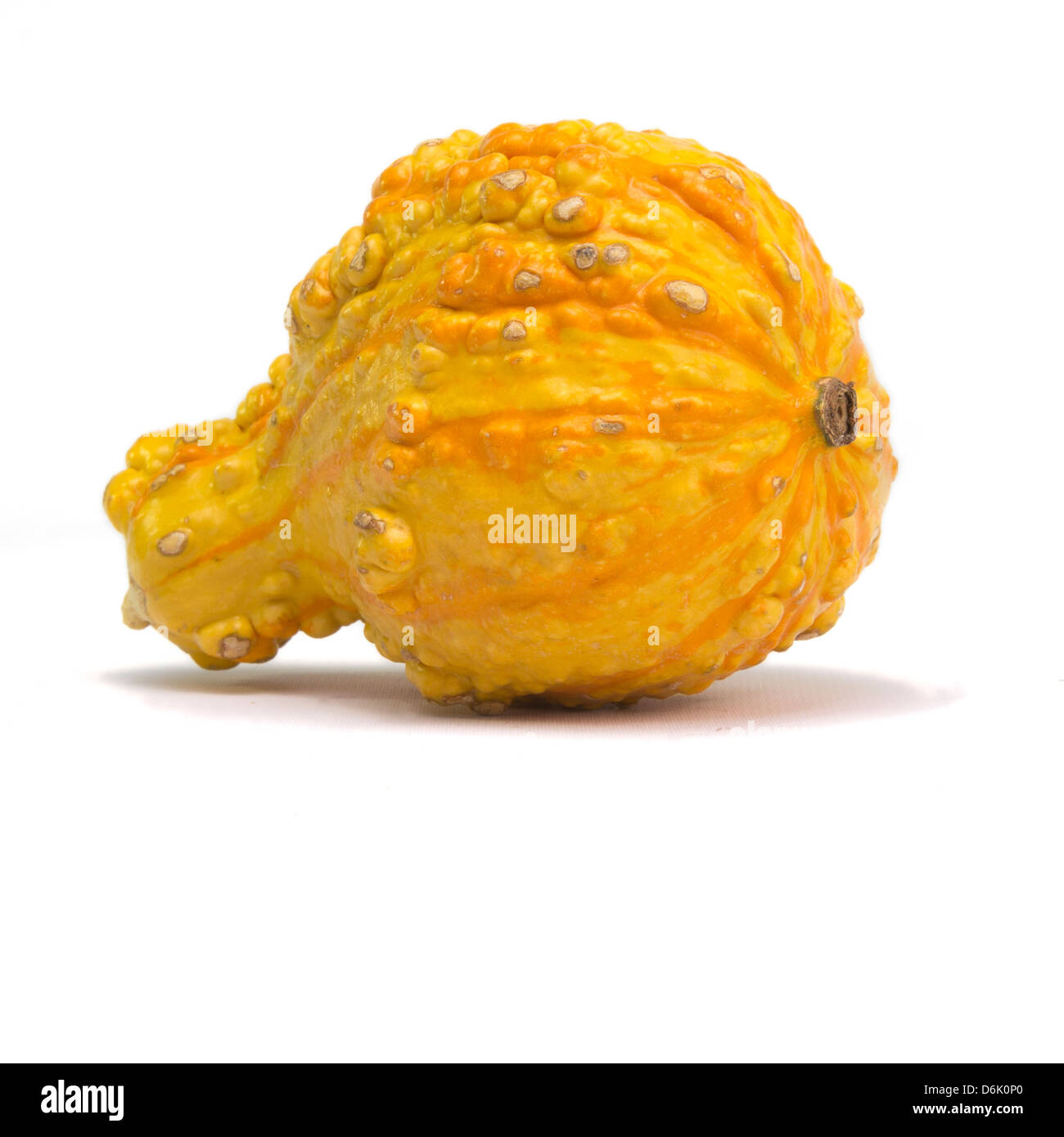 Orange Kürbis isoliert auf weißem Hintergrund mit Licht Schatten Stockfoto