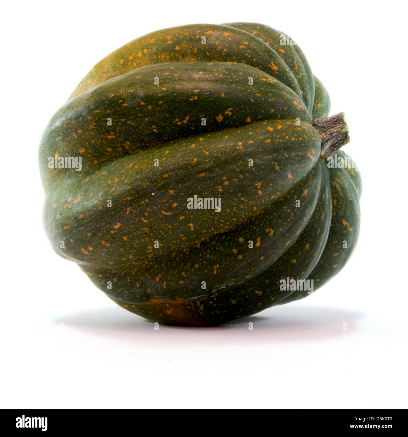 Studio hautnah Acorn Squash isoliert auf weißem Hintergrund mit Licht Schatten Stockfoto