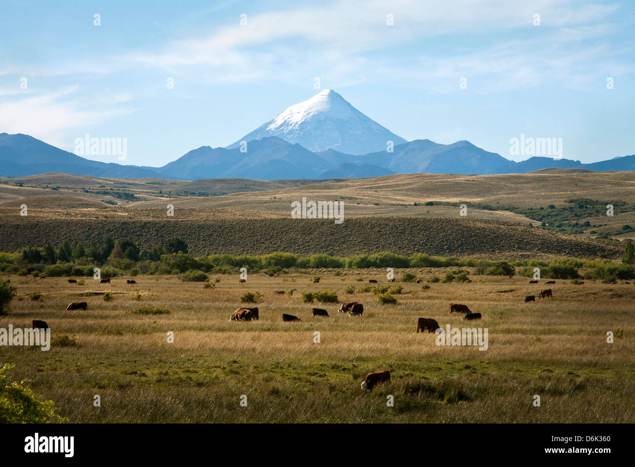 Blick über Lanin Vulkan Nationalpark Lanin, Patagonien, Argentinien, Südamerika Stockfoto