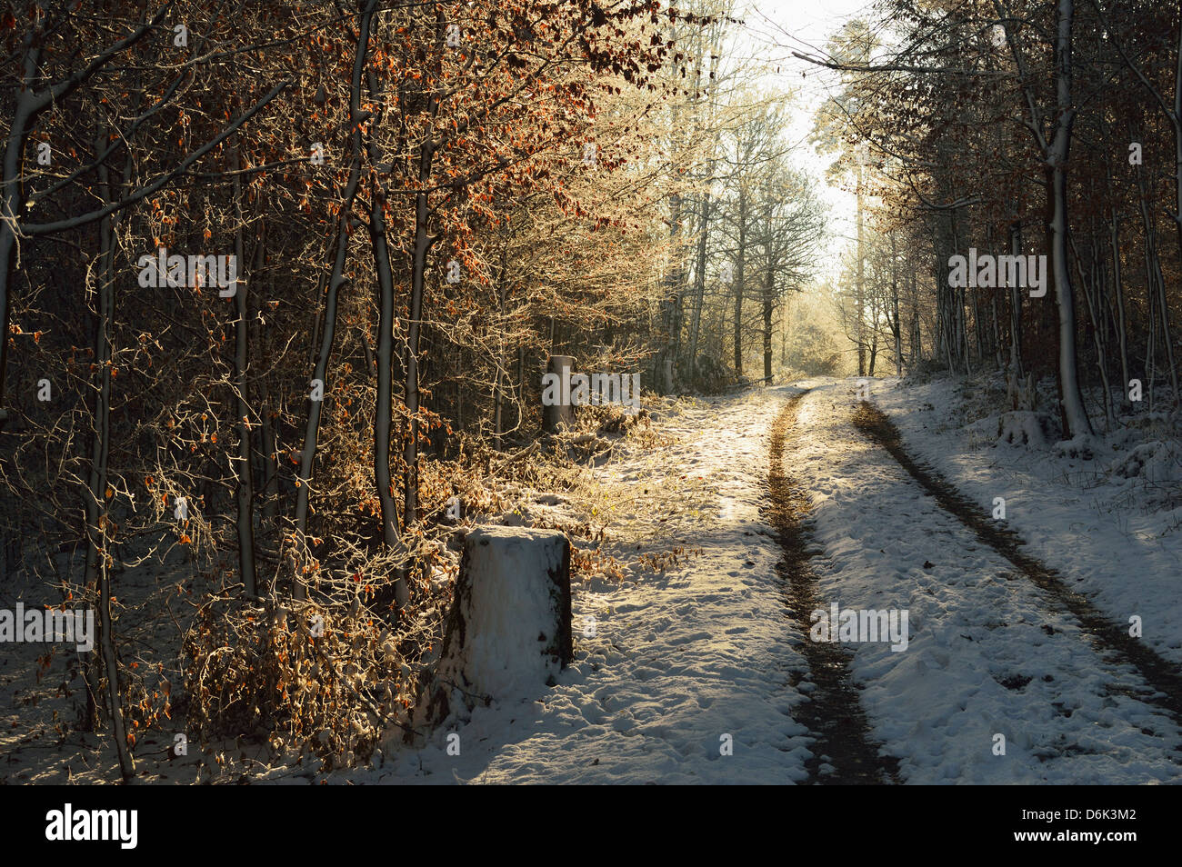 Ländliche Winter-Szene, in der Nähe von Villingen Baden-Wurttemberg, Deutschland, Europa Stockfoto
