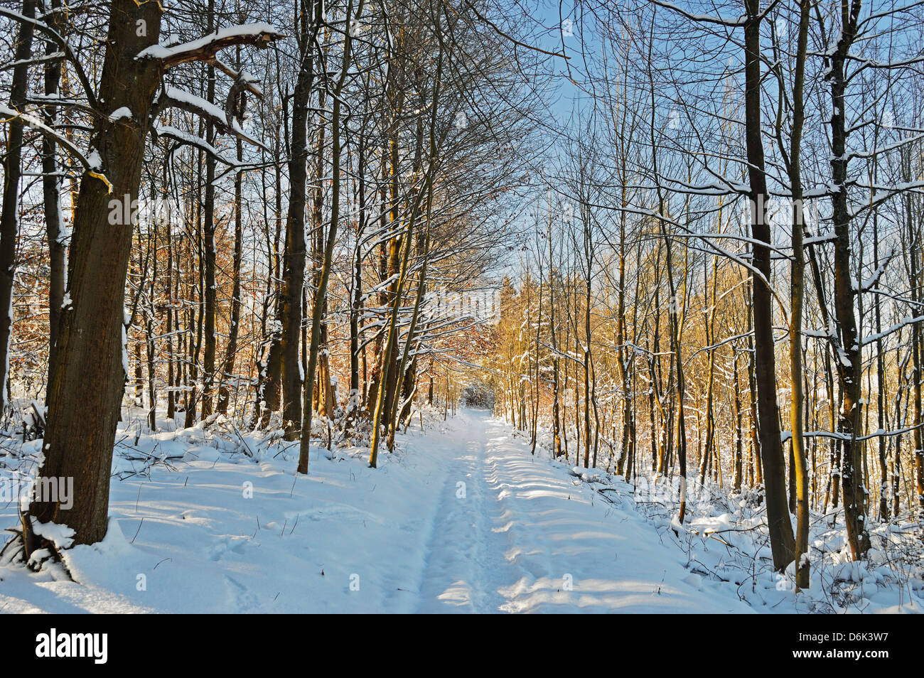 Ländliche Winter-Szene, in der Nähe von Villingen Schwarzwald-Baar, Baden-Wurttemberg, Deutschland, Europa Stockfoto