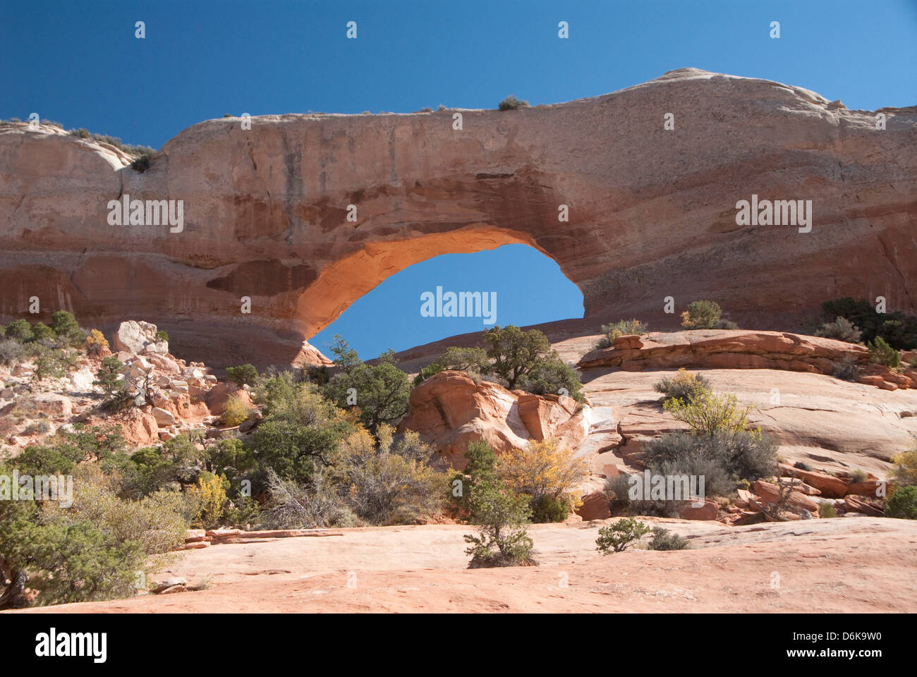 Wilson Arch, in der Nähe von Moab, Utah, Vereinigte Staaten von Amerika, Nordamerika Stockfoto