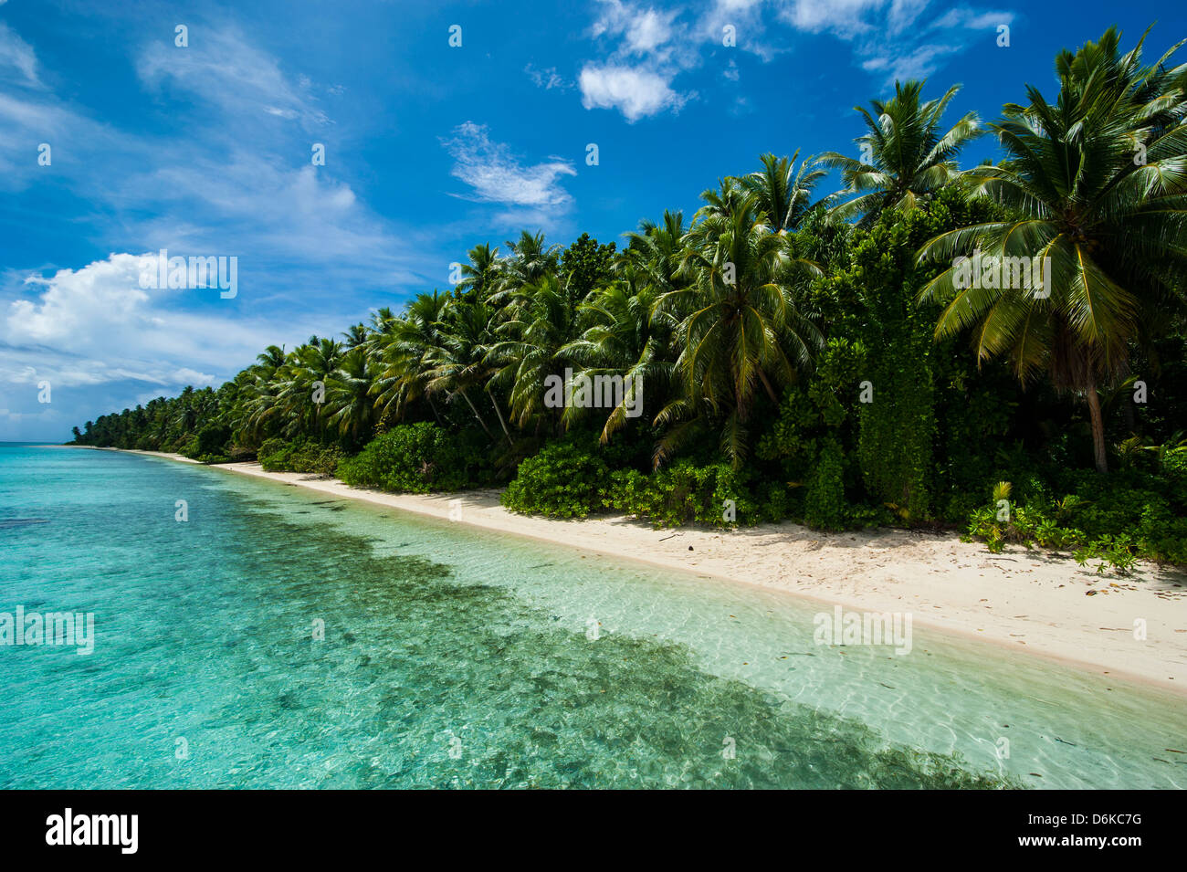 Paradies weißer Sandstrand und türkisfarbenes Wasser auf Ant-Atoll, Pohnpei, Mikronesien, Pazifik Stockfoto