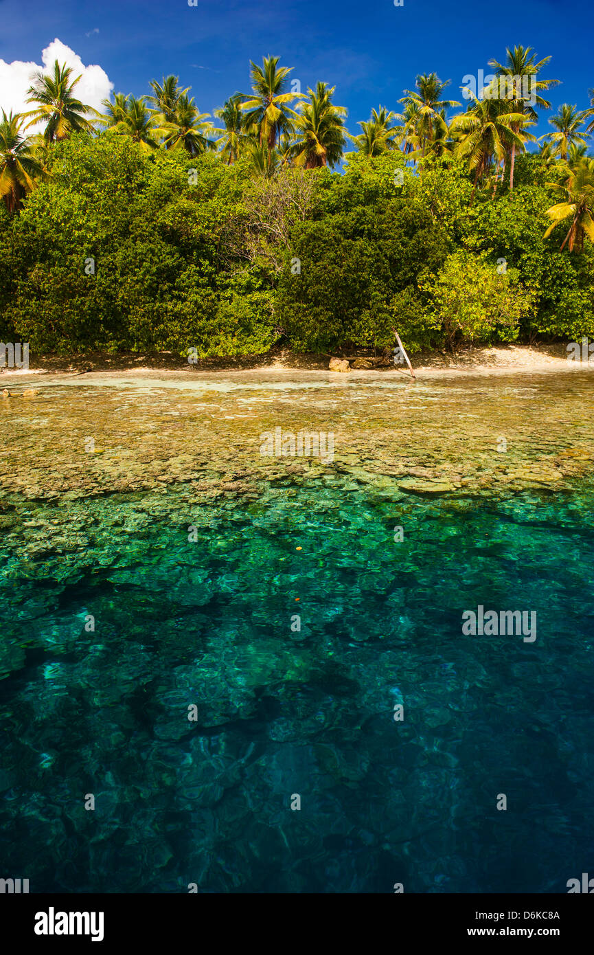 Kristallklares Wasser und eine kleine Insel im Ant-Atoll, Pohnpei, Mikronesien, Pazifik Stockfoto
