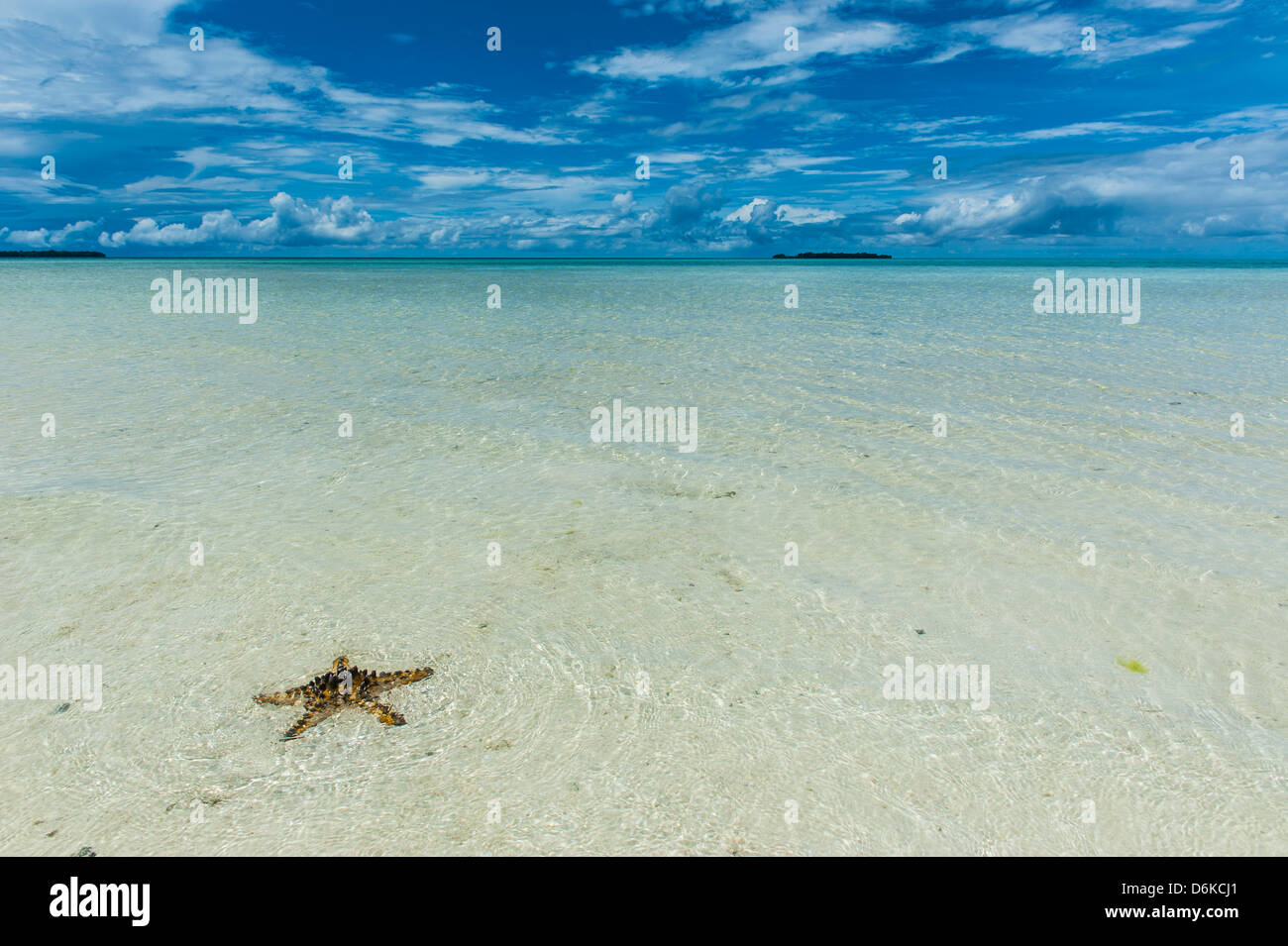 Seestern in den Sand auf die Rock Islands, Palau, Central Pacific, Pazifik Stockfoto