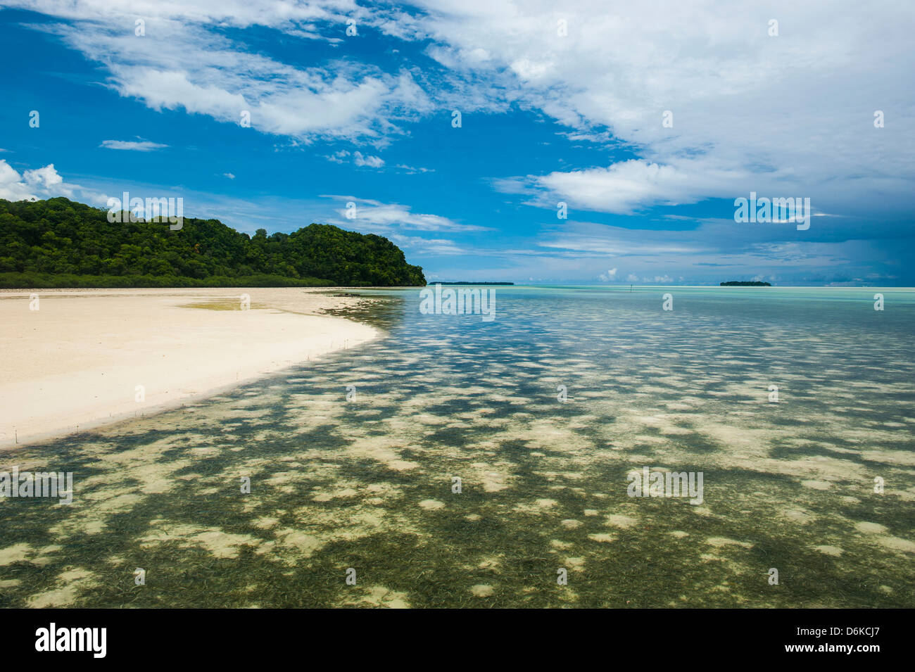 Sandstrand auf Karpfen Insel Rock Inseln, Palau, Central Pacific, Pazifik Stockfoto