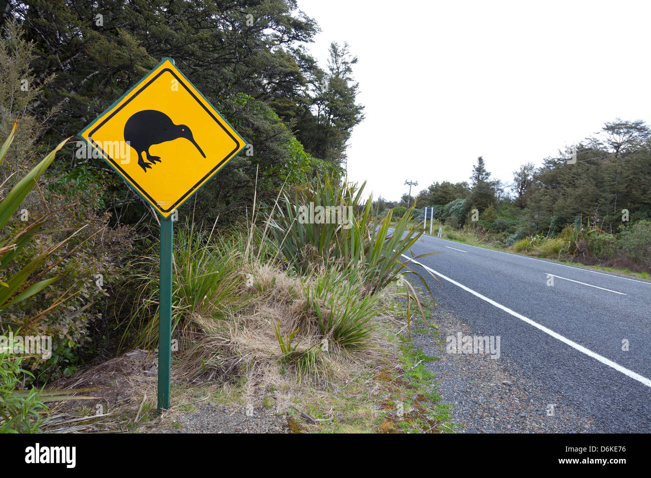 Kiwi-Zeichen in der Nähe der Straße, Northern Island, Neuseeland Stockfoto
