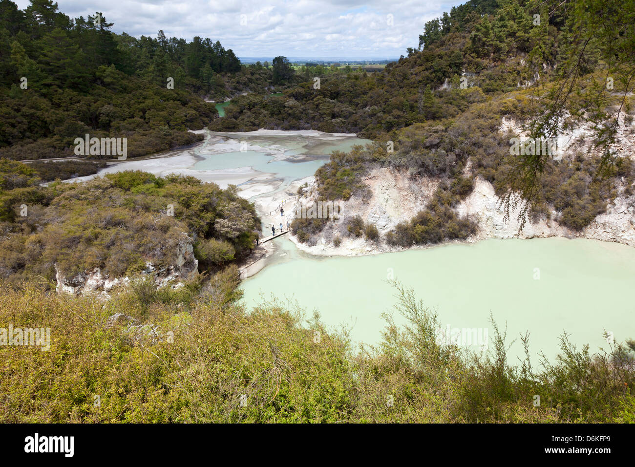 Wai-O-Tapu Geothermal Reserve Rotorua, Neuseeland Stockfoto