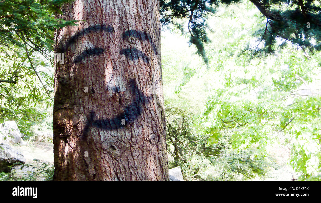 Gesicht gemalt auf Baum Stockfoto