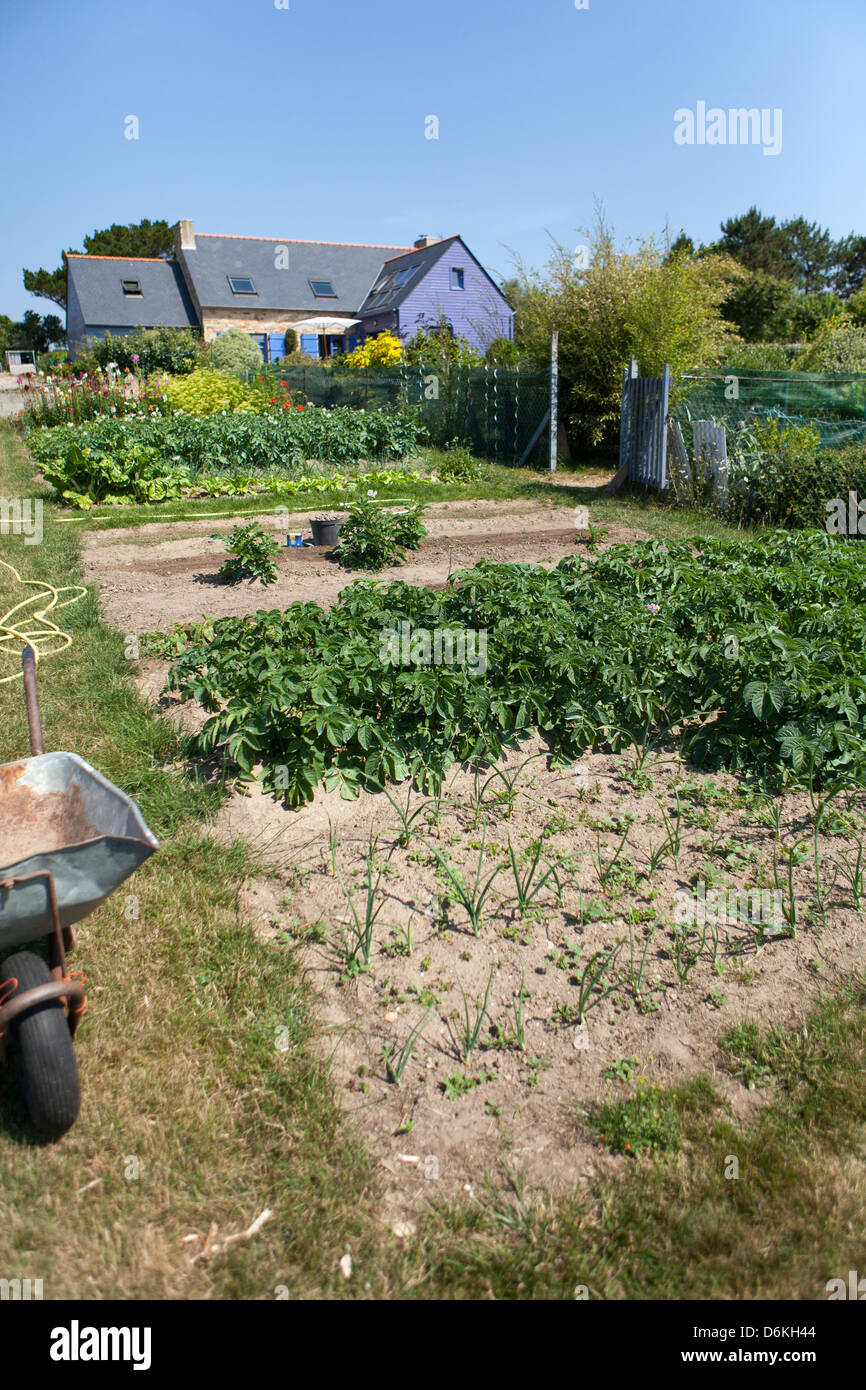 Küche Garten Stockfoto