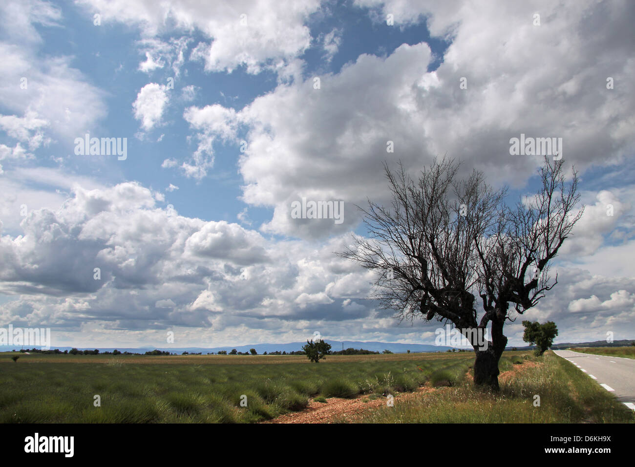 Autobahn in Südfrankreich auf dem Plateau de Valensole in Moustiers-Sainte-Marie in der Provence Stockfoto