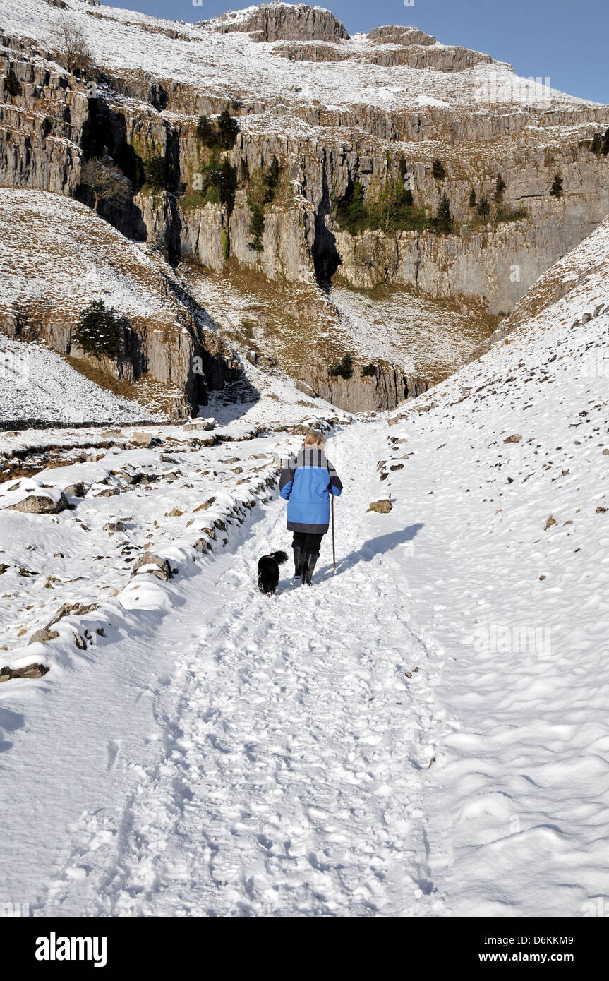 Dame-Wanderer mit Hund im Schnee Gordale Narbe yorkshire Stockfoto