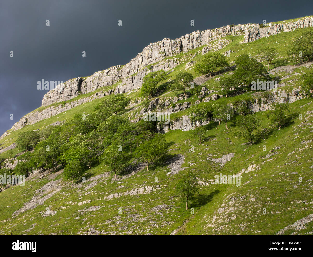 England, North Yorkshire, Yorkshire Dales National Park. Gordale Scar, ein Kalkstein Schlucht in der Nähe von Malham Cove in den Yorkshire Dales National Park Stockfoto