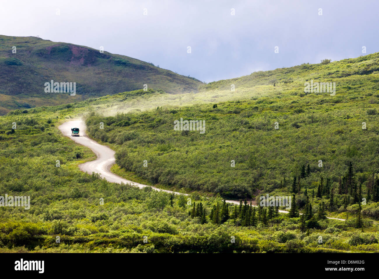 Shuttle-Busse Besucher auf den begrenzten Zugang Denali Park Road, Denali National Park, Alaska, USA Stockfoto