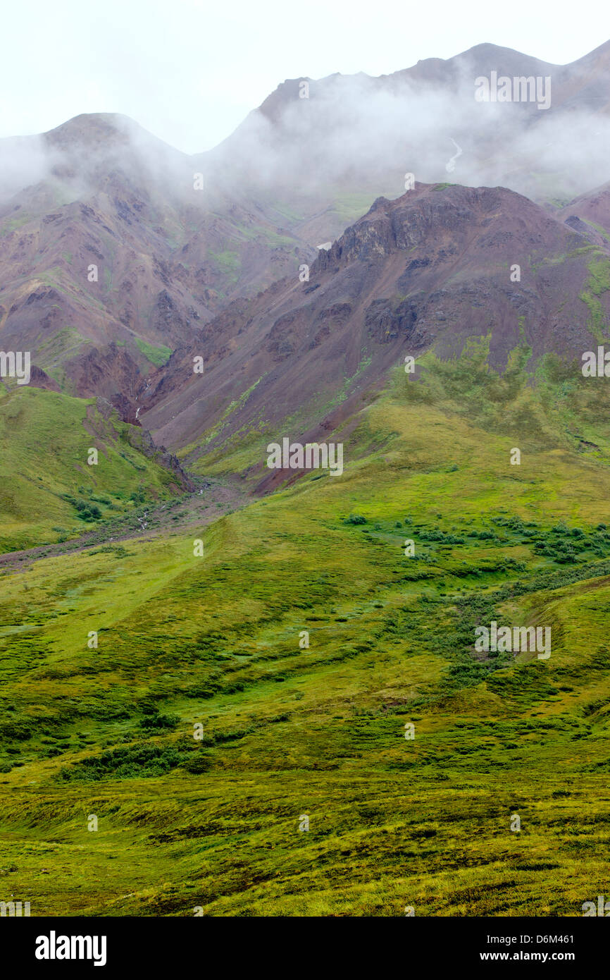 Neblige Neblige Sicht südlich der Alaska Range von Polychrome Pass, Denali National Park, Alaska, USA Stockfoto