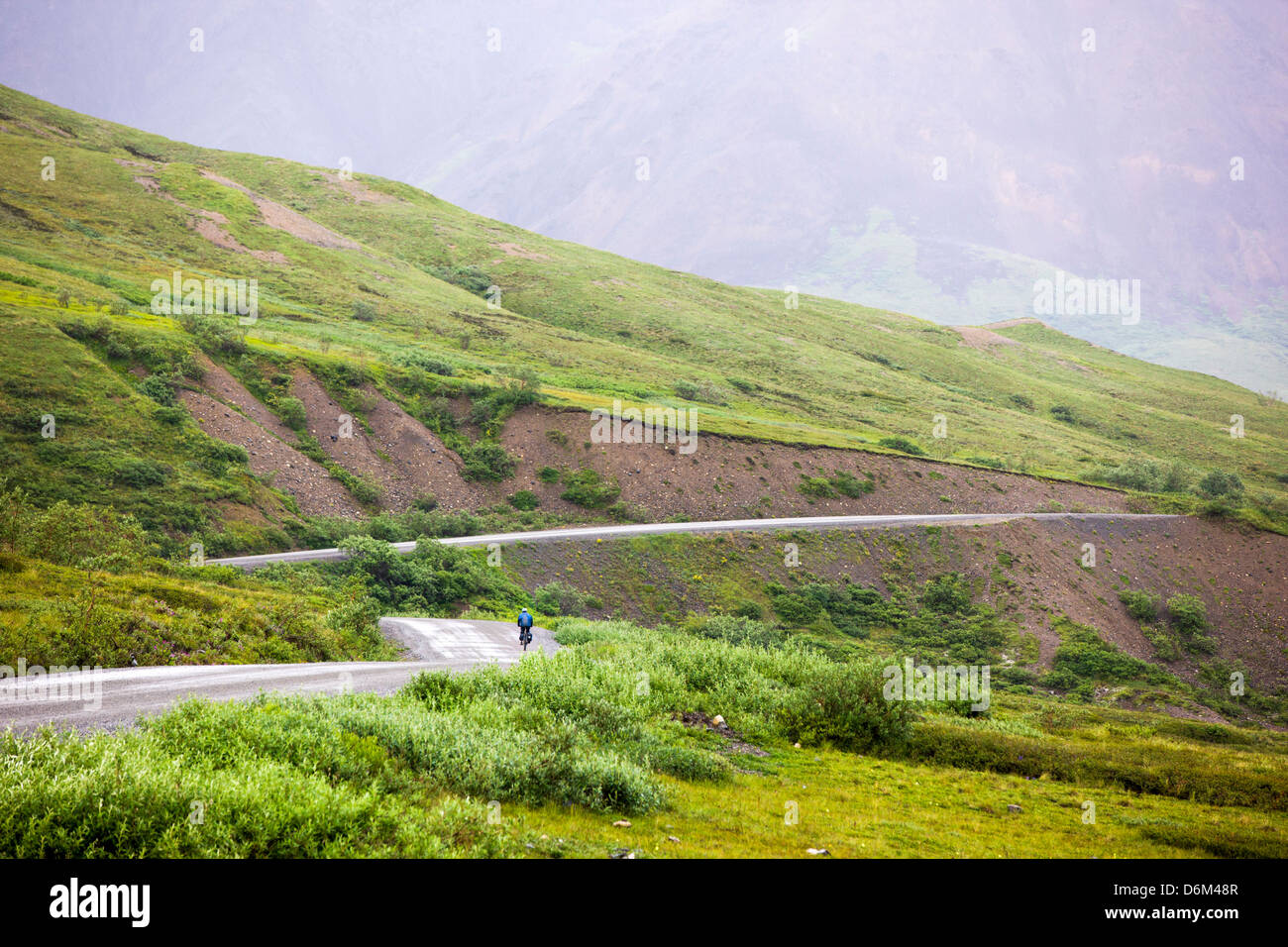 Radsportler, die begrenzte Zufahrt, Denali National Park, Alaska, USA Stockfoto
