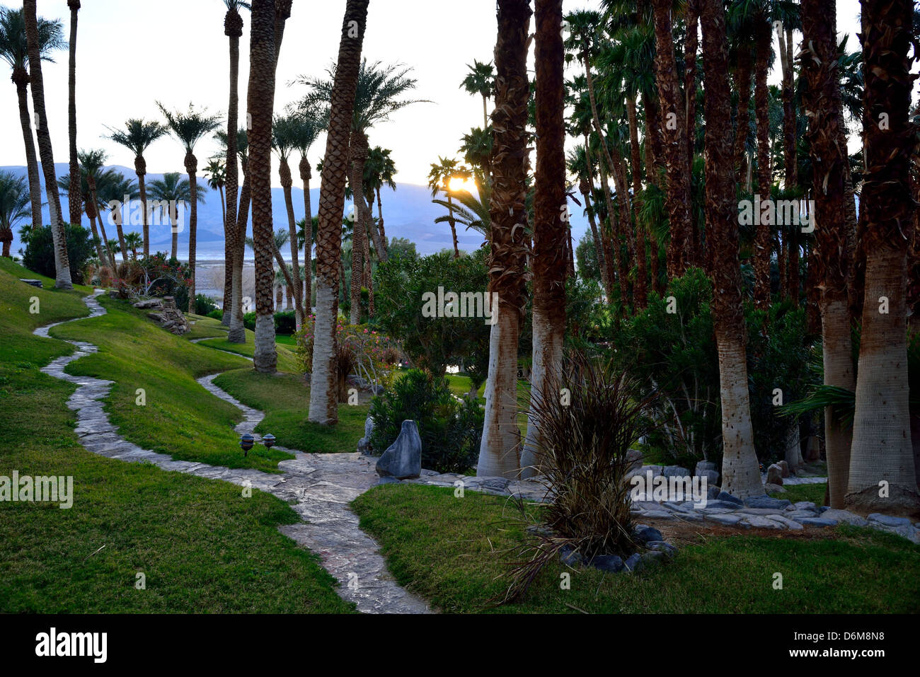 Wanderwege rund um die Oase am Furnace Creek Inn. Death Valley Nationalpark, Kalifornien, USA. Stockfoto