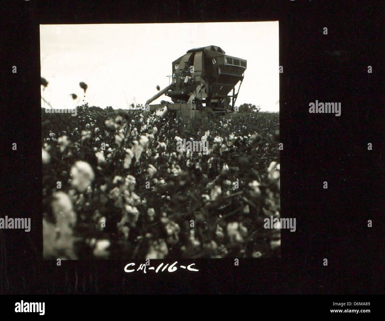 Dieses Foto zeigt einen Motor von Continental Motors, einem führenden Hersteller von Flugzeugmotoren. Continental Motors ist ein wichtiger Akteur in der Luftfahrtgeschichte und liefert Motoren für militärische und zivile Flugzeuge. Ihre Triebwerke haben zahlreiche Flugzeuge aus verschiedenen Epochen unterstützt. Stockfoto