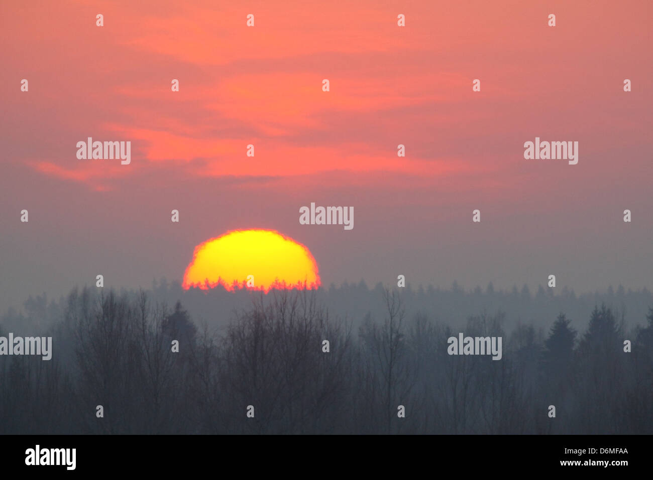 Erhöhung der Sonne über den Wald. Europa Stockfoto
