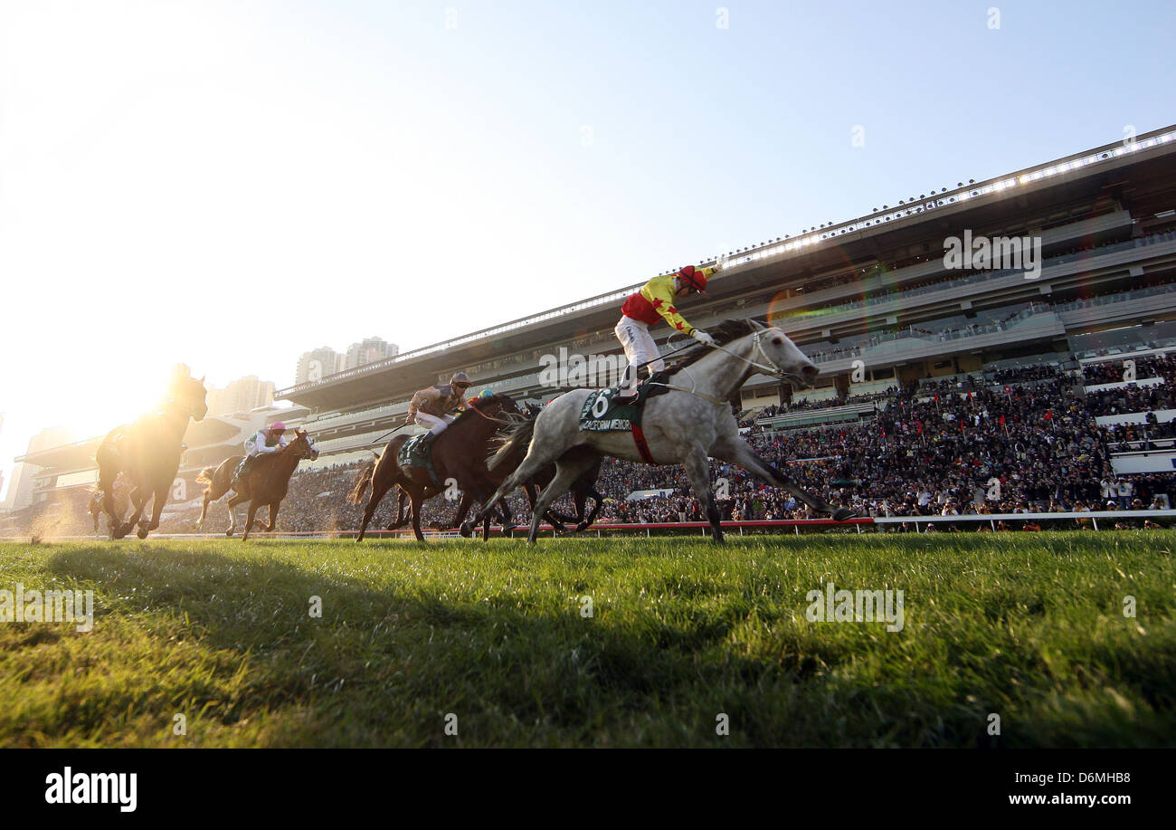 Hong Kong, China, Pferde und jockeys vor der Tribüne am Sha Tin Racecourse Stockfoto