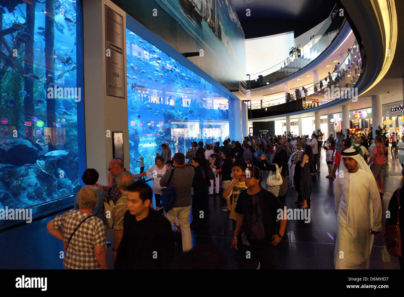 Dubai, Vereinigte Arabische Emirate, Menschen aus dem Dubai Aquarium in der Mall von Dubai Stockfoto