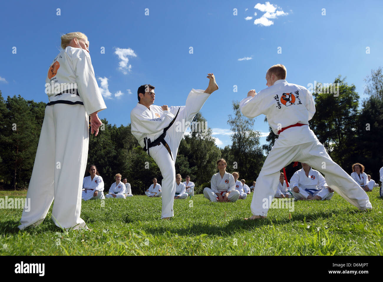 Emstal, Deutschland, Menschen in einem Taekwondo-Kurs in der Natur Stockfoto