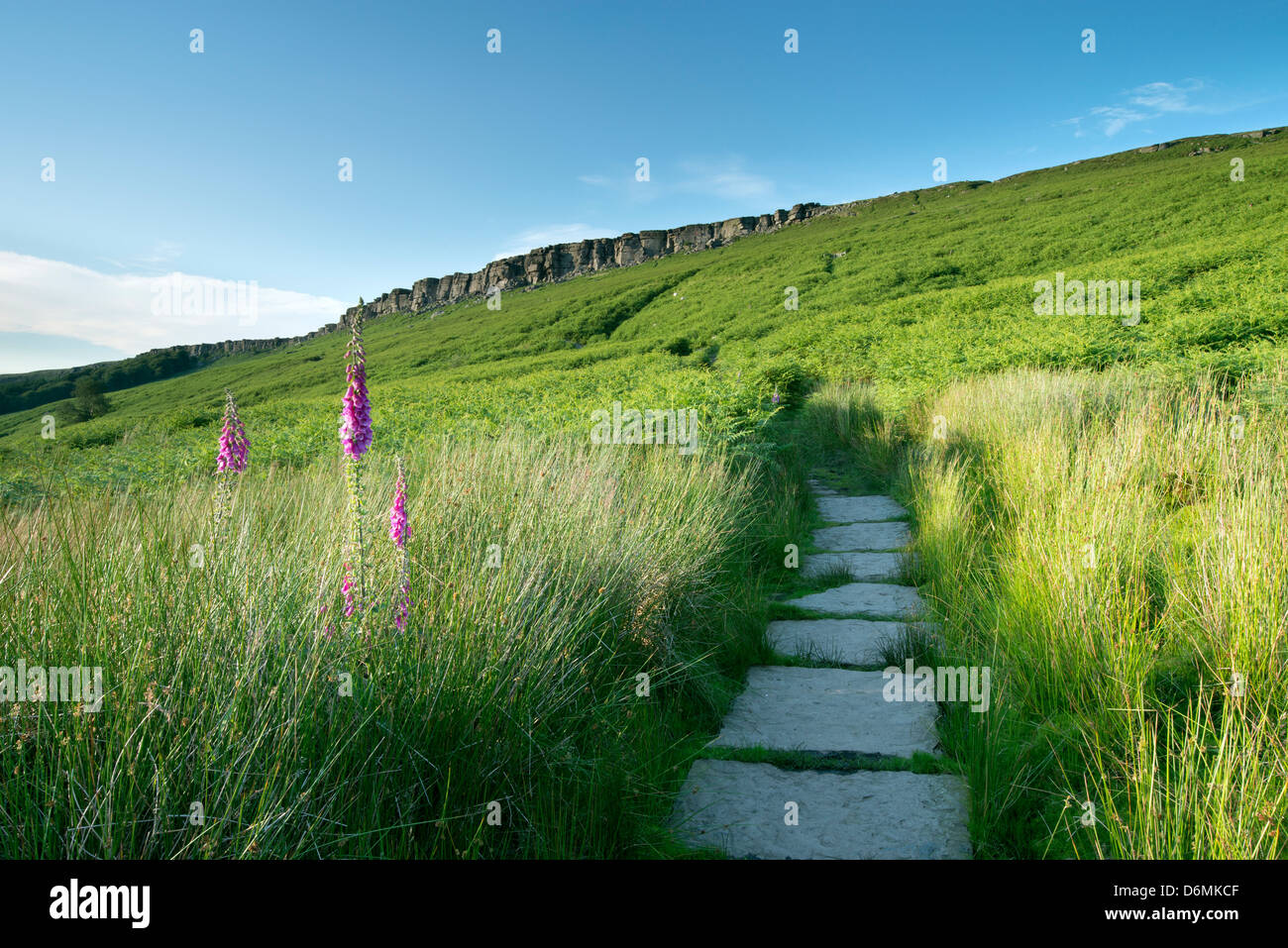 Steinplatten Weg zur Stanage Edge, The Peak District. Stockfoto
