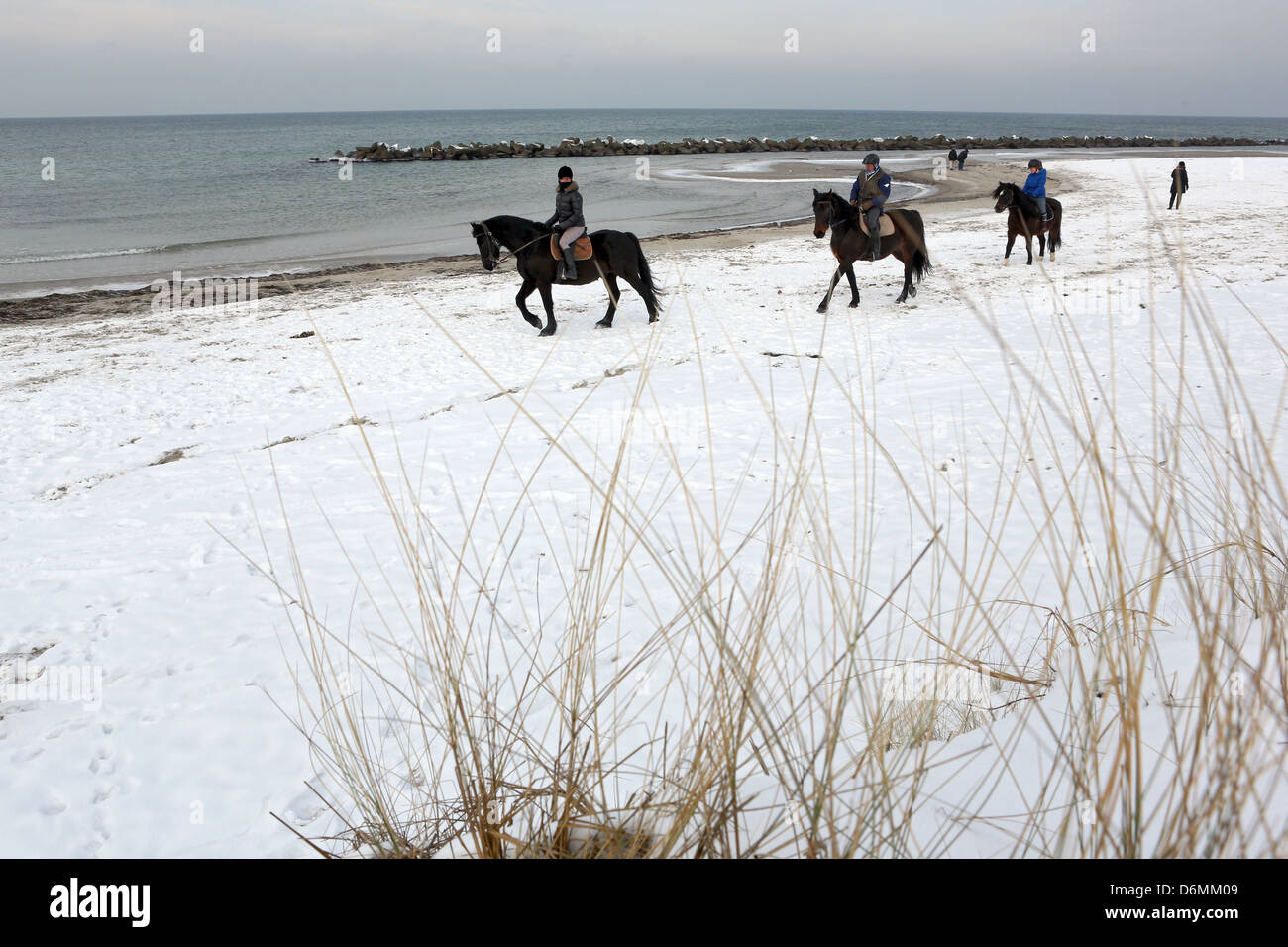 Wustrow, Deutschland, tun Leute im Winter, eine Fahrt auf dem Strand Stockfoto