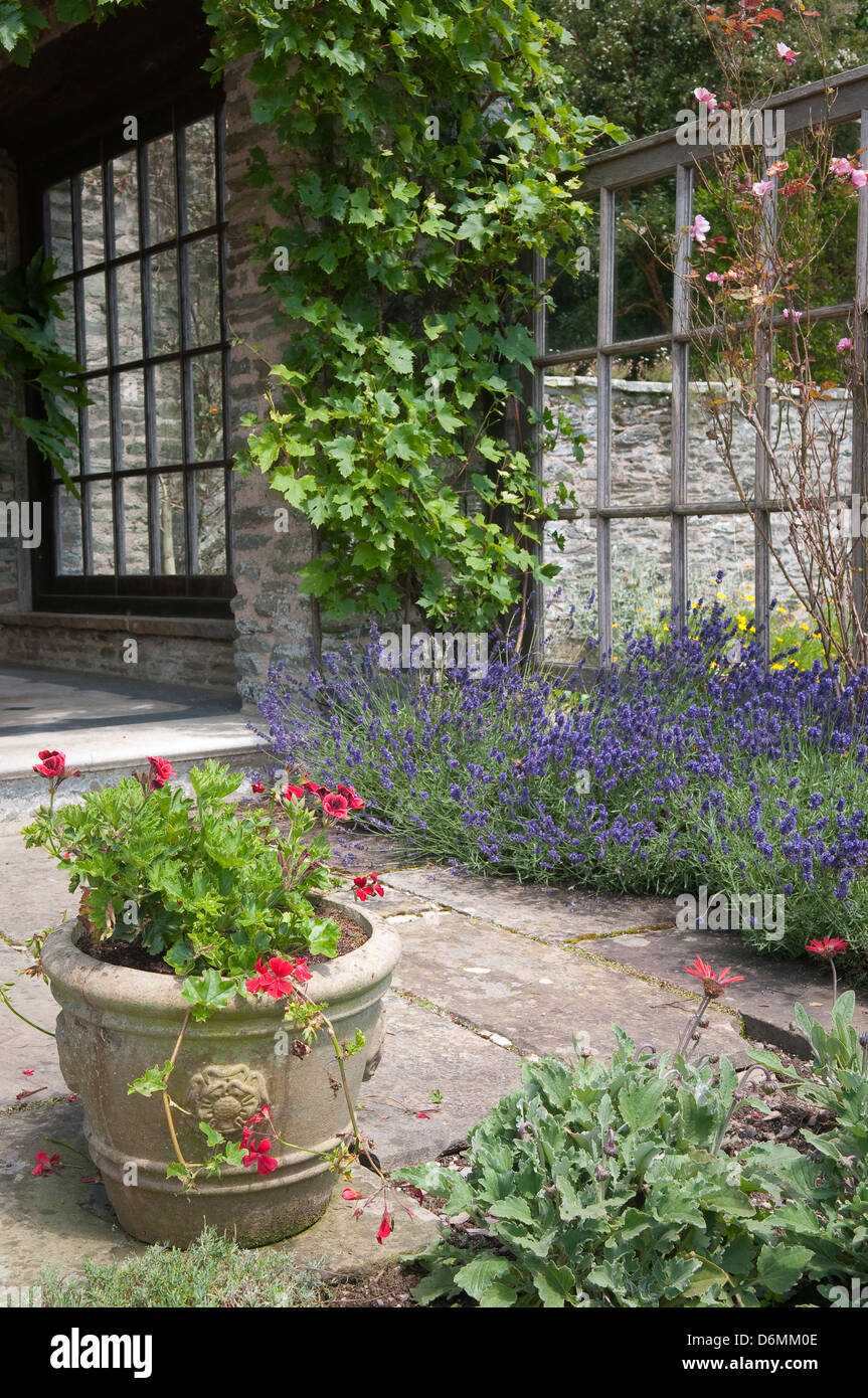 Englischer Garten Terrasse mit Keramik Blumentopf. Stockfoto