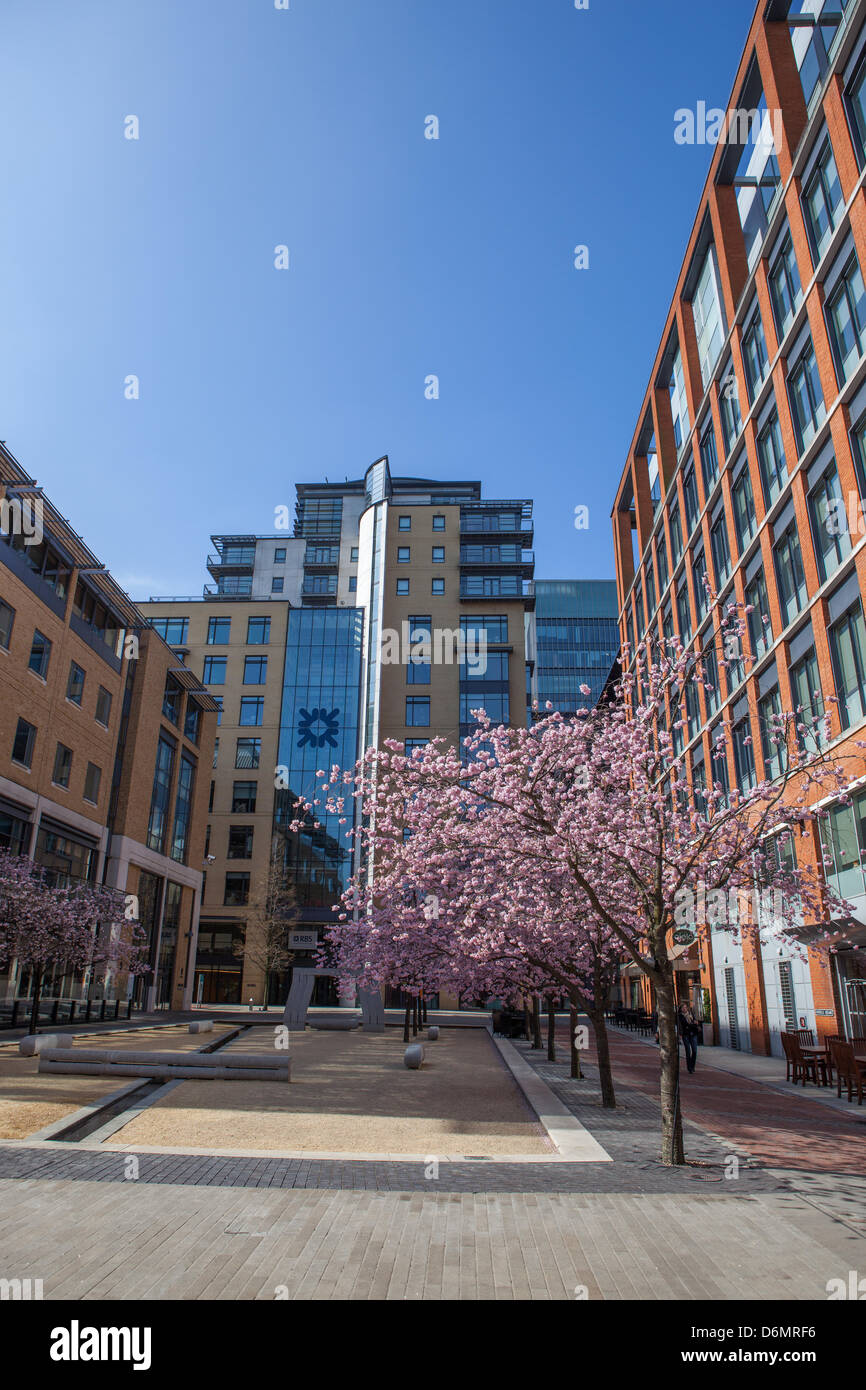 Birmingham, Vereinigtes Königreich. 20. April 2013. Die RBS Gebäude auf Oozells Platz, Brindley Place, Birmingham. Frühling Kirschblüte füllt sich der Platz. Bildnachweis: Chris Gibson/Alamy Live-Nachrichten Stockfoto