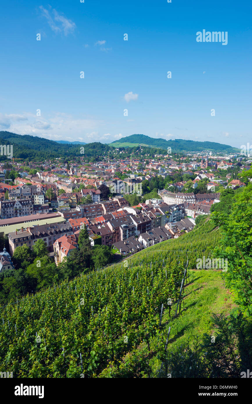 Weinberge, Freiburg, Baden-Württemberg, Deutschland, Europa Stockfoto