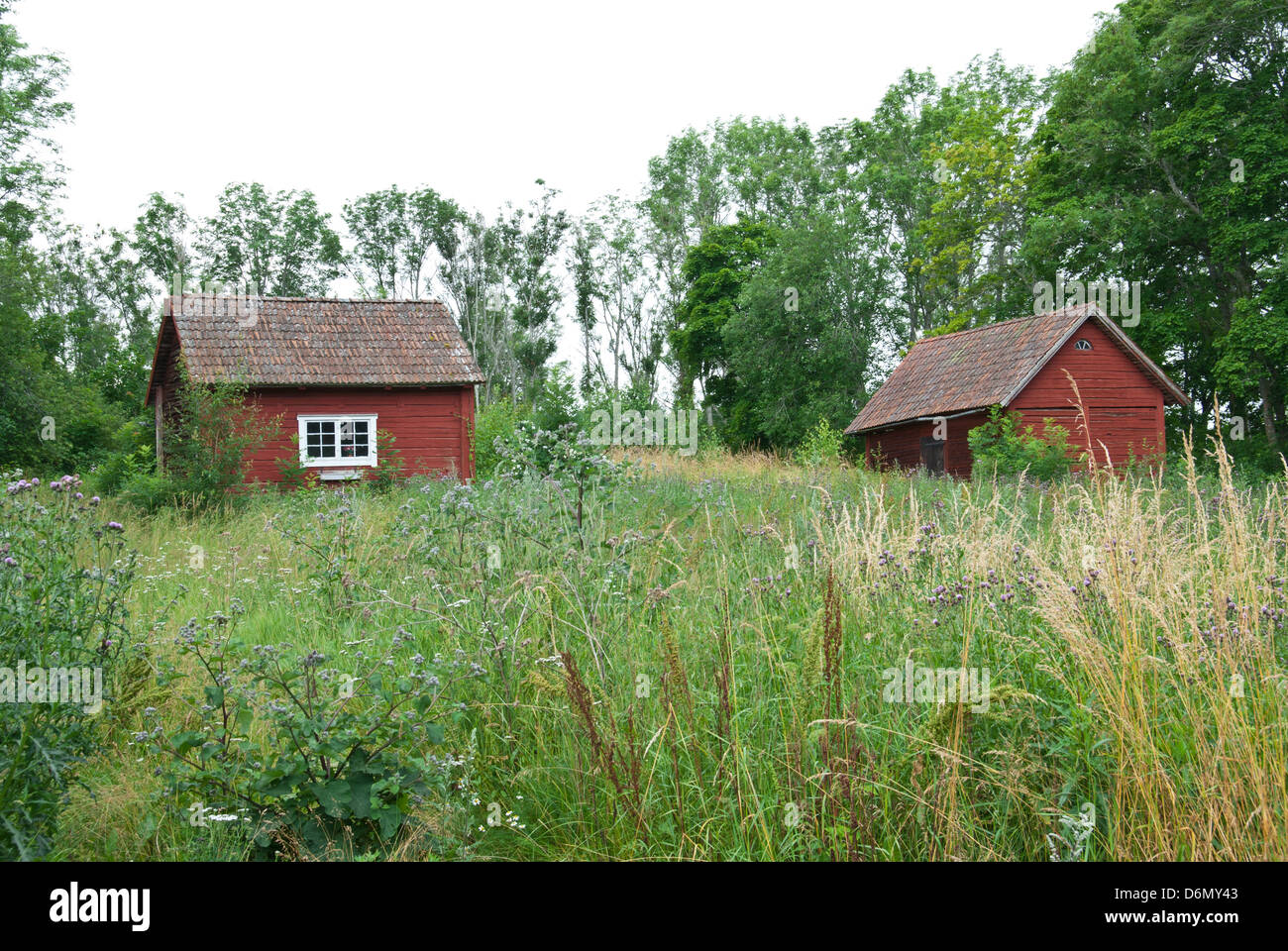 Schwedische Landschaft im Sommer. Traditionelle alte rote Häuser. Stockfoto