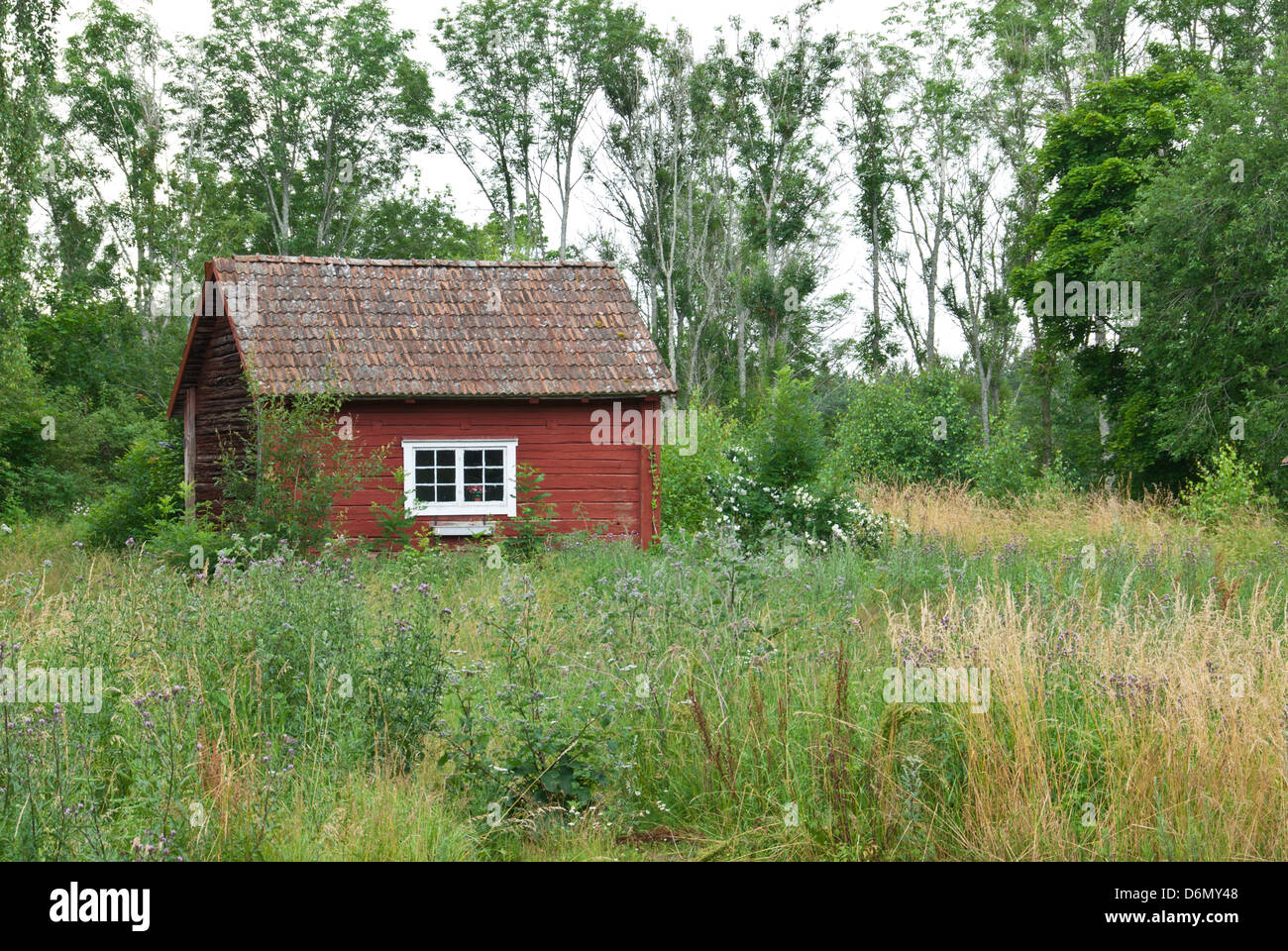 Schwedische Landschaft im Sommer. Altes Haus in traditionellen rot lackiert. Stockfoto