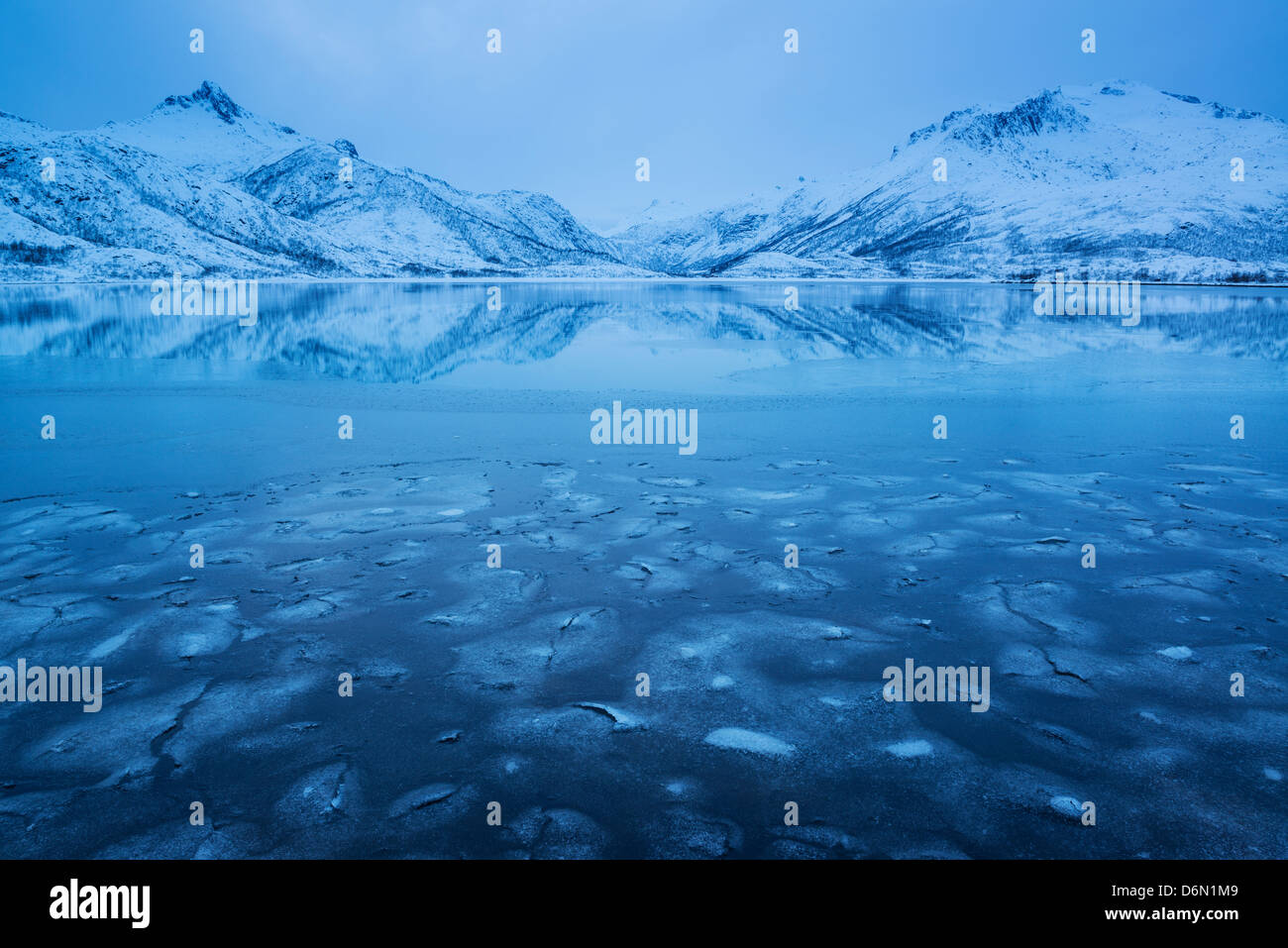 Eis bildet sich auf Vatterfjordpollen, fährfrei, Lofoten Inseln, Norwegen Stockfoto
