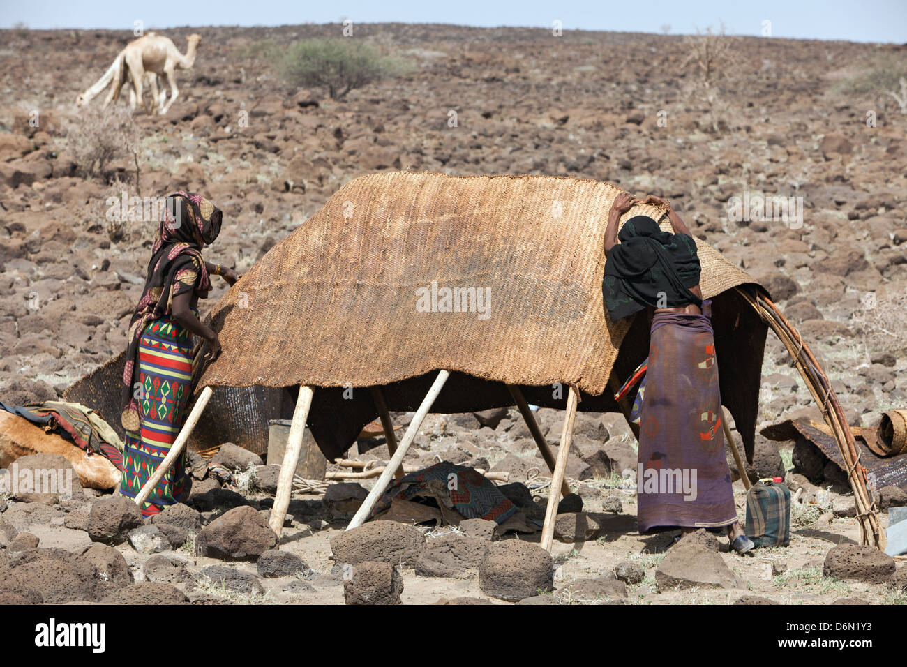 Semara, Äthiopien, lagerten Nomadenfamilie in der Nähe eines Gewässers Stockfoto