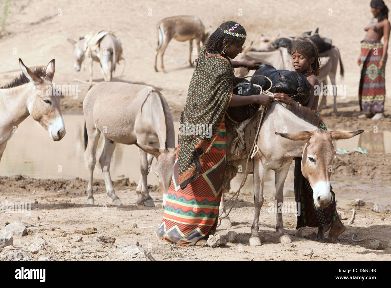 Semera, Äthiopien, Nomaden Wasserholen an einer Wasserstelle Stockfoto