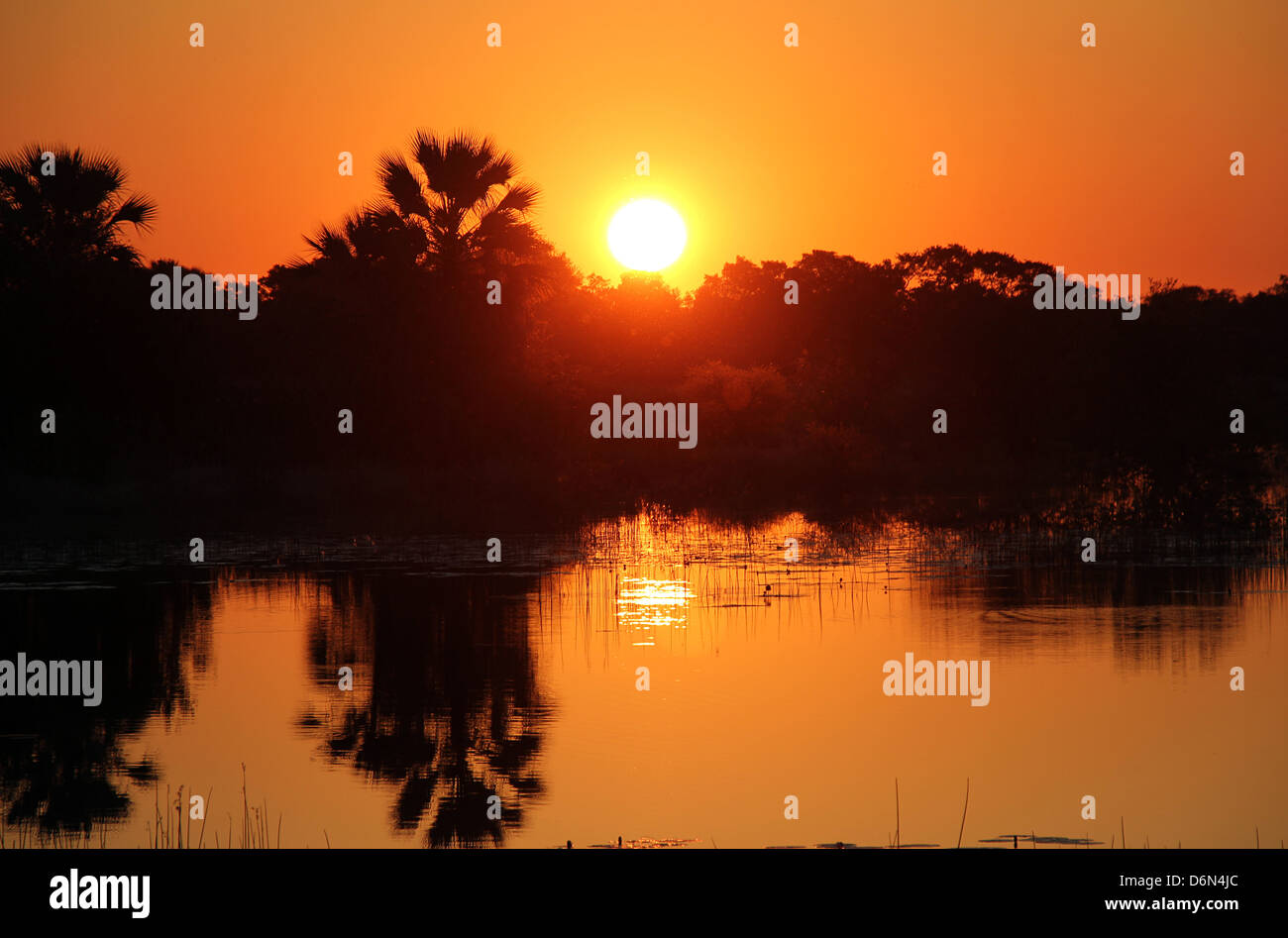 Sonnenuntergang am Kwando Fluss, Caprivi Strip, Namibia Stockfoto