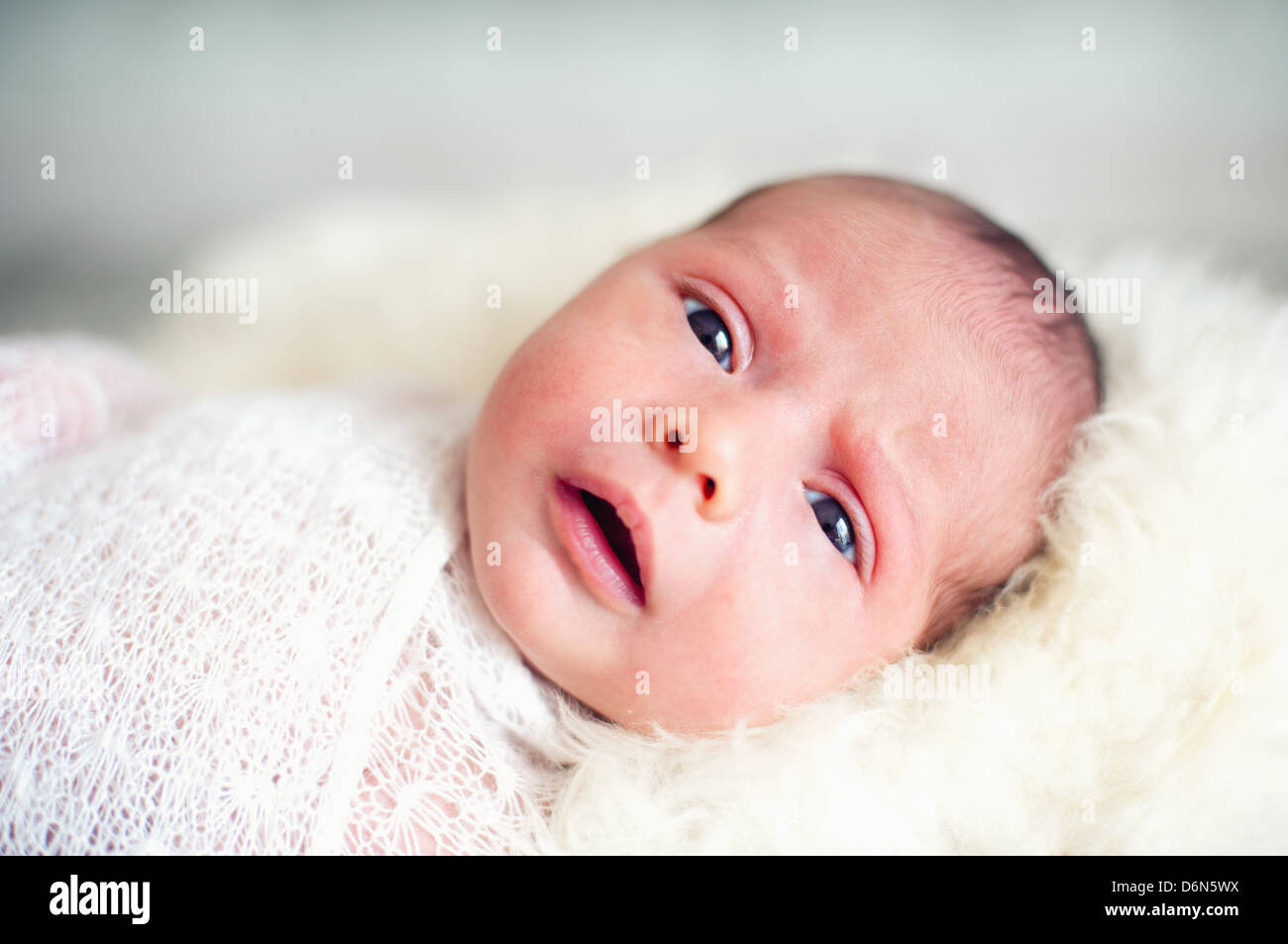 Das kleine Kind mit einem vernünftigen Anblick Stockfoto