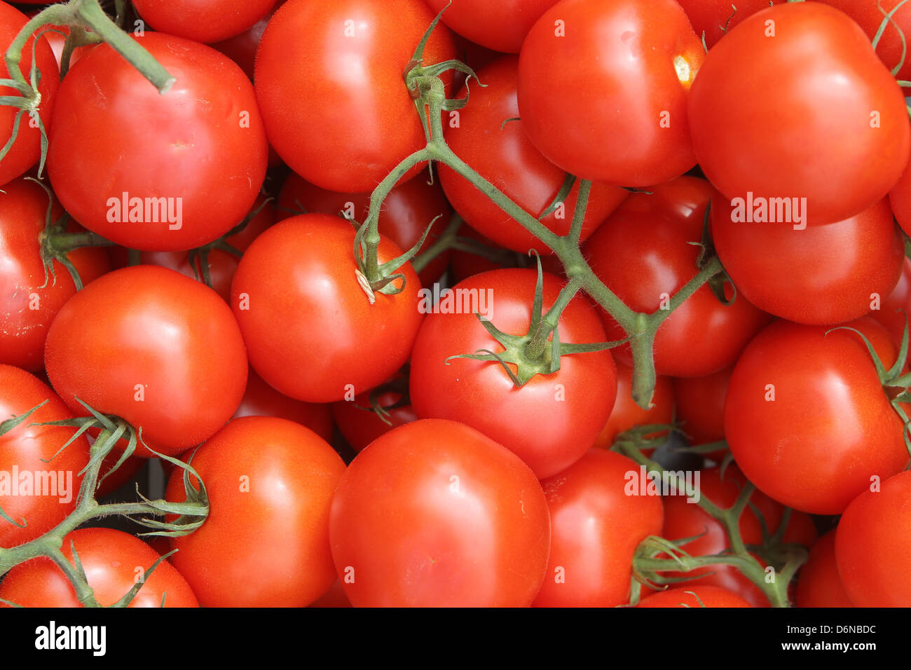 Handewitt, Deutschland, Tomaten in einer Anzeige Stockfoto