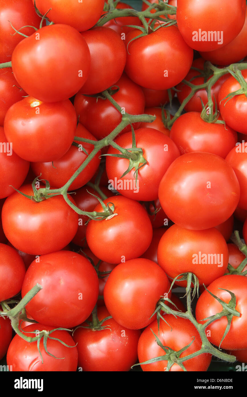 Handewitt, Deutschland, Tomaten in einer Anzeige Stockfoto