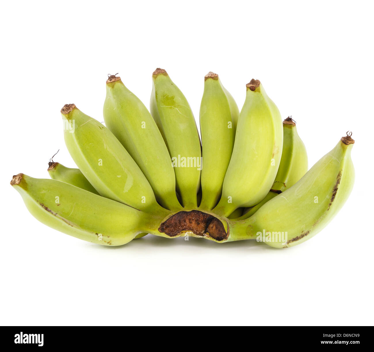 Reihe von rohe Banane isoliert auf weißem Hintergrund Stockfoto